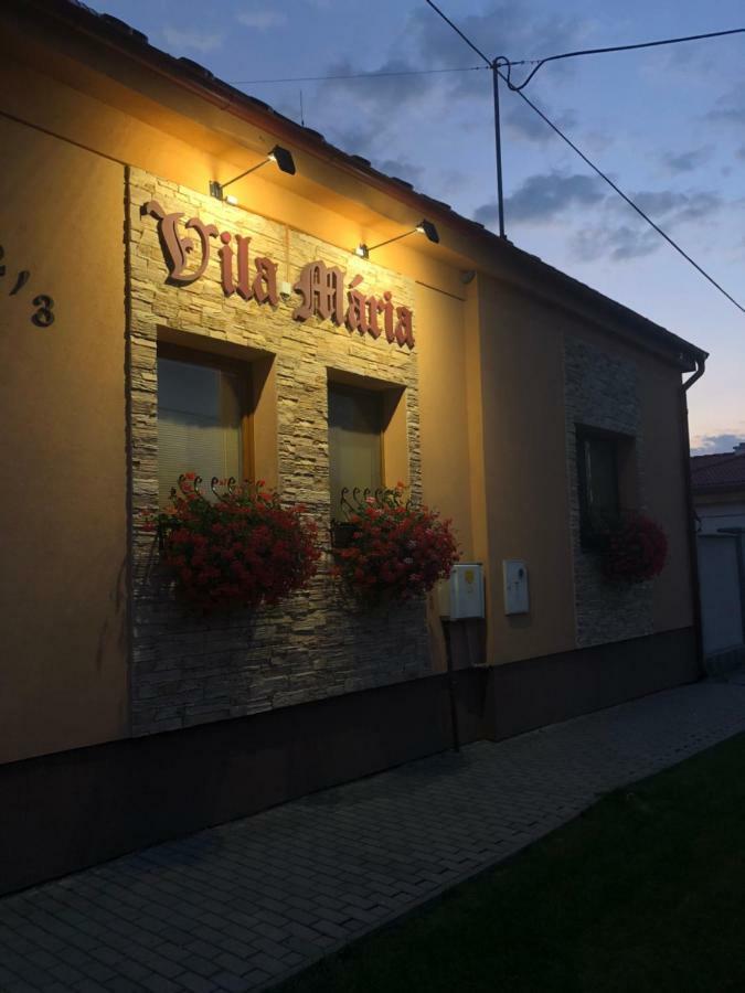 Vila Maria Rapovce Exteriér fotografie
