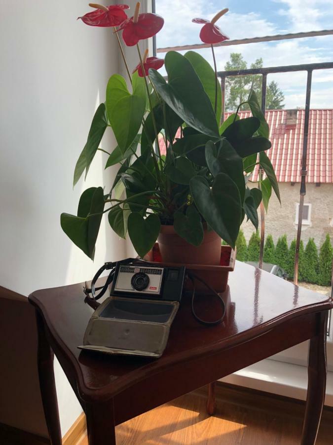 Vila Maria Rapovce Exteriér fotografie
